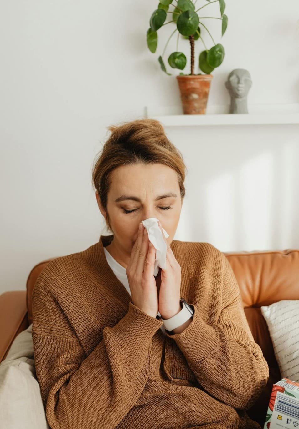 Paranasal sinuses and chronic sinusitis